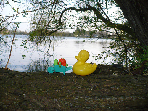 Duck Day 470 (15042010) - Vegetable wheelbarrow