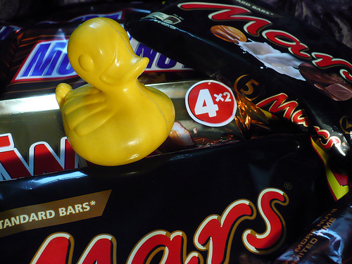 Duck Day 474 (19042010) - Chock stock