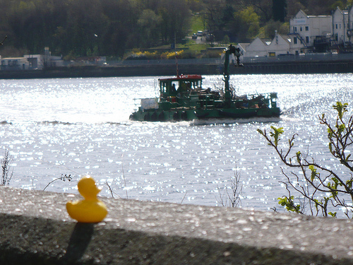 Duck Day 476 (21042010) - Boat watching