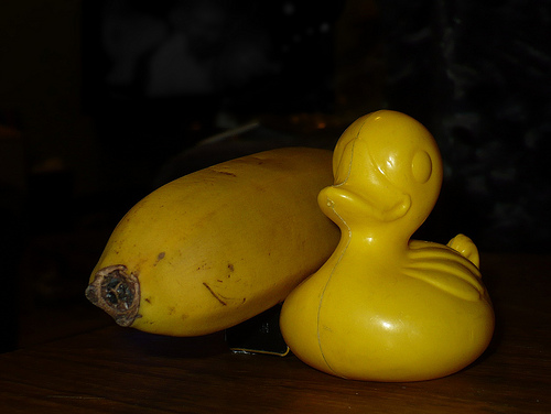 Duck Day 477 (22042010) - Banana Gun