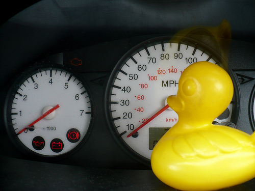 Duck Day 478 (23042010) - Speed