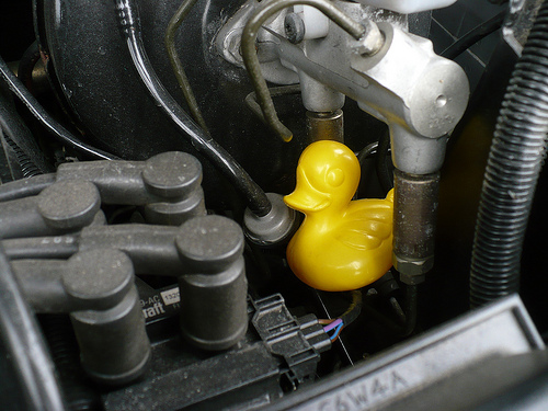 Duck Day 482 (27042010) - Engine Tuning