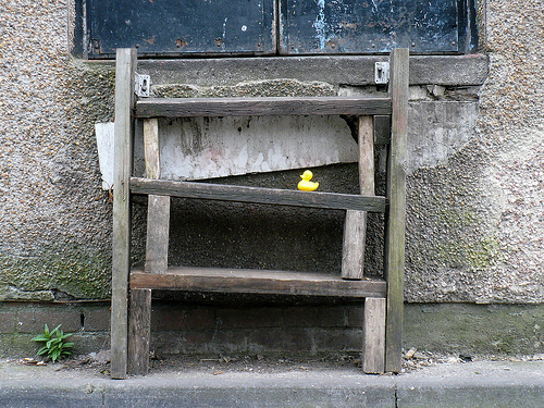 Duck Day 484 (29042010) - Stupid steps