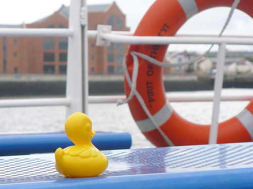 Duck Day 486 (01052010) - All aboard
