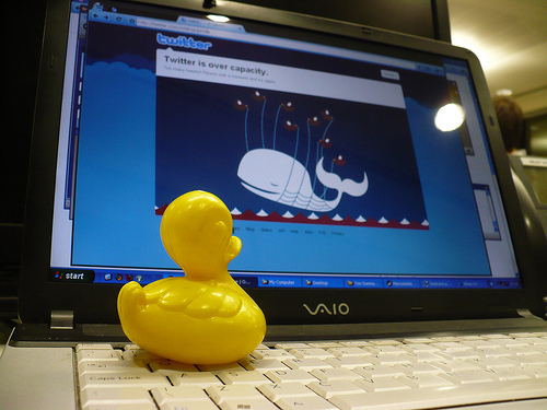 Duck Day 493 (08052010) - Fail whale