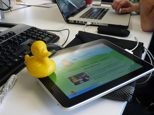Duck Day 494 (09052010) - iPad