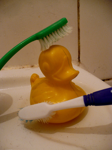 Duck Day 499 (14052010) - Clean duck