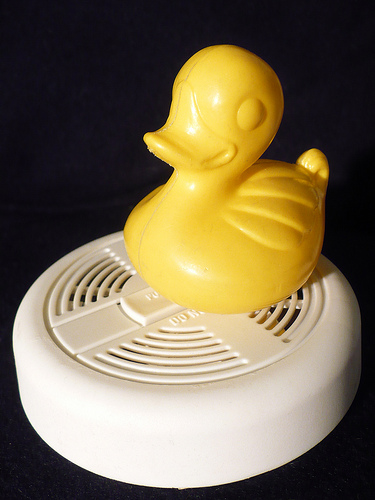 Duck Day 501 (16052010) - Test the alarm