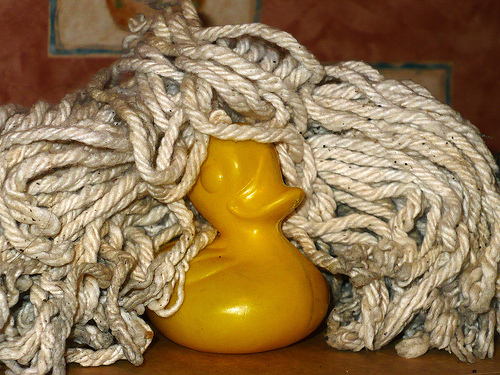 Duck Day 502 (17052010) - What a wig