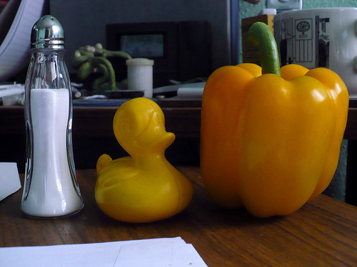 Duck Day 504 (19052010) - Salt and pepper