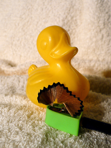 Duck Day 505 (20052010) - Sharp