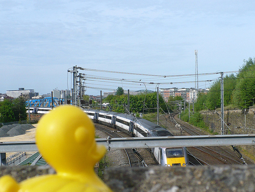 Duck Day 506 (21052010) - Train spotting