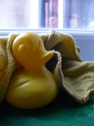Duck Day 509 (24052010) - Dusting duck
