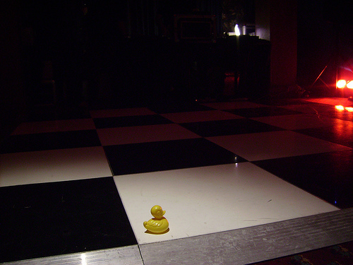 Duck Day 51 (20022009) - On the dance floor