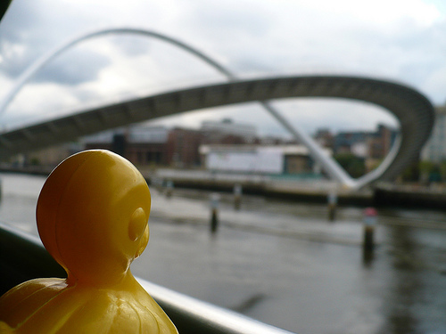 Duck Day 512 (27052010) - Millennium Bridge