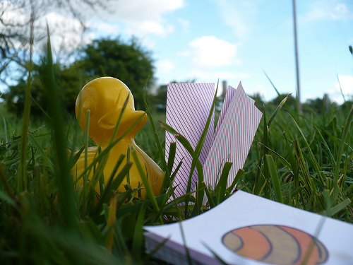 Duck Day 513 (28052010) - Cards in the sun