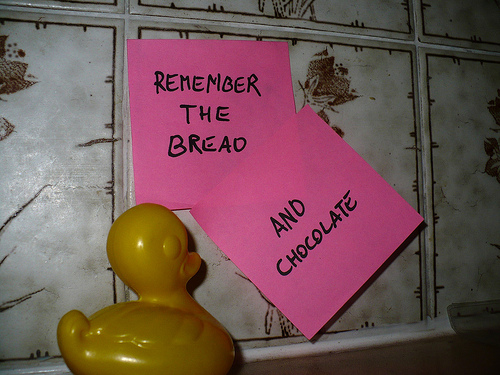 Duck Day 516 (31052010) - Remember the bread
