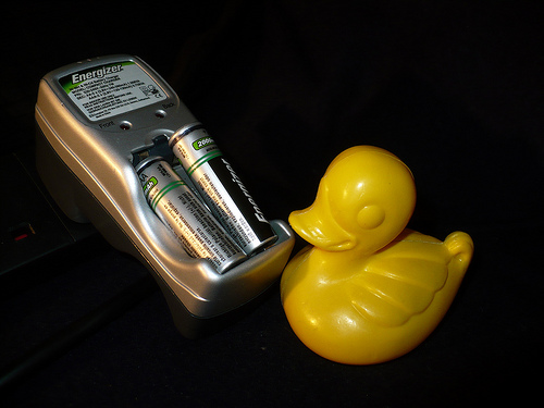 Duck Day 517 (01062010) - Charging