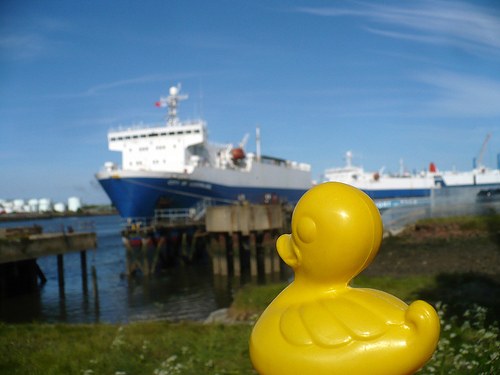 Duck Day 519 (03062010) - Down on the docks