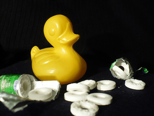 Duck Day 520 (04062010) - Mints with holes