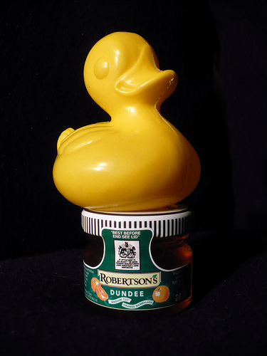 Duck Day 523 (07062010) - My marmalade