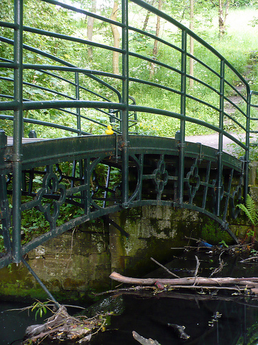 Duck Day 527 (11062010) - Pooh Sticks