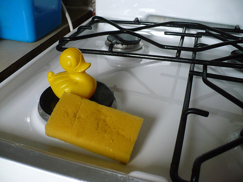 Duck Day 531 (15062010) - Helping clean the cooker