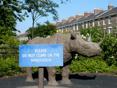 Duck Day 532 (16062010) - Do not climb on the rhinoceros