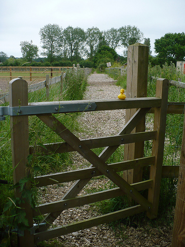 Duck Day 534 (18062010) - Kissing gate