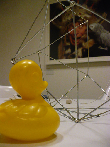 Duck Day 535 (19062010) - Dodecawhatsit