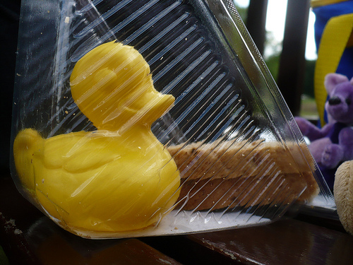 Duck Day 537 (21062010) - Sandwich