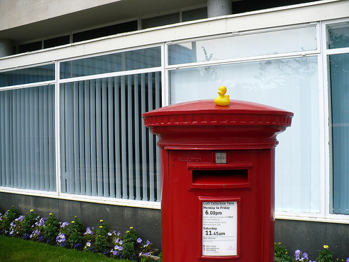 Duck Day 539 (23062010) - Posting a  letter