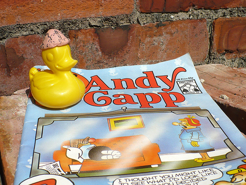 Duck Day 543 (27062010) - Andy Capp