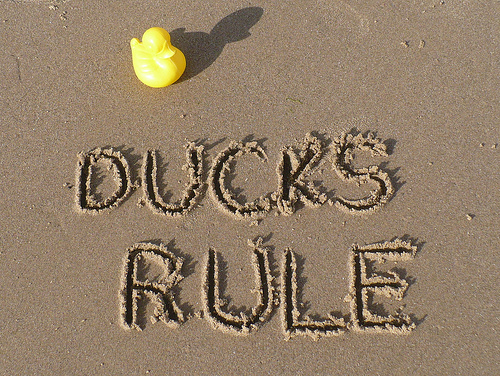 Duck Day 548 (02072010) - Duck's Rule