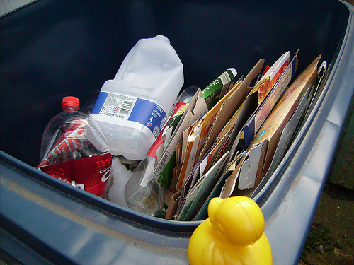 Duck Day 55 (24022009) - Recycling