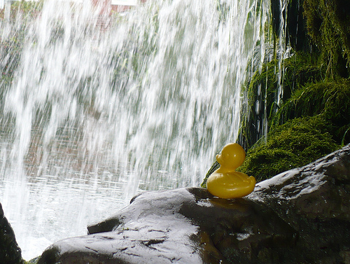 Duck Day 550 (04072010) -  Waterfall