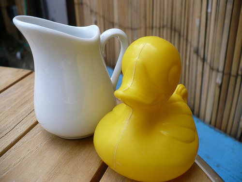 Duck Day 552 (06072010) -  Milk anyone?