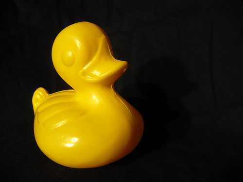 Duck Day 553 (07072010) -  Nothing