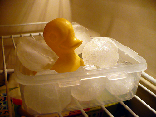 Duck Day 556 (10072010) -  Keeping cool