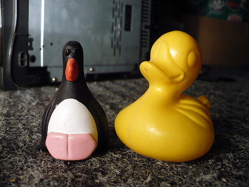 Duck Day 558 (12072010) - Penguin