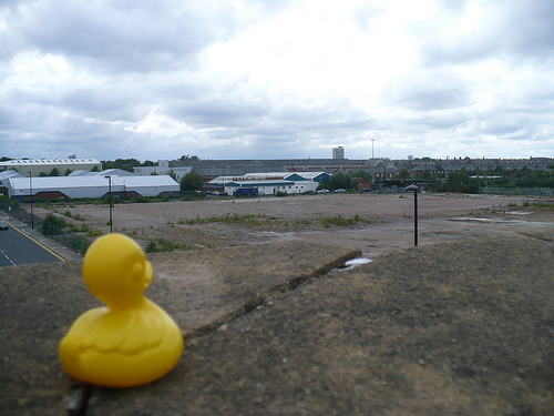 Duck Day 559 (13072010) - Bird's eye view