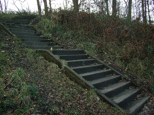 Duck Day 56 (25022009) - Steps