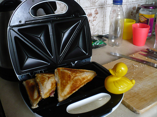 Duck Day 560 (14072010) - Sandwich toaster