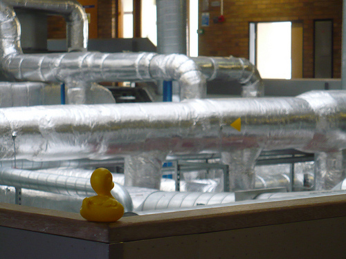 Duck Day 561 (15072010) - Pipes