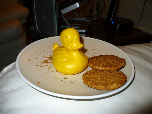 Duck Day 563 (17072010) - The biscuits were nice