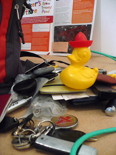 Duck Day 565 (19072010) - A pocket of stuff