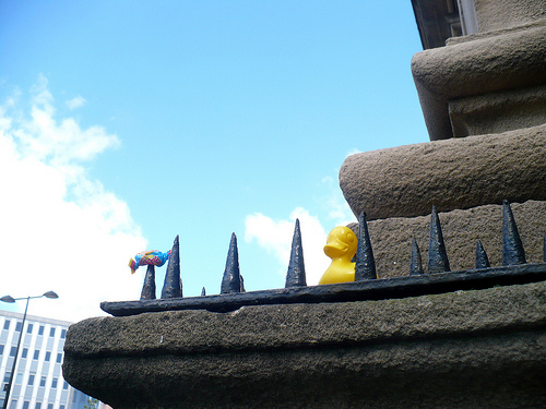 Duck Day 567 (21072010) - Bad spikes