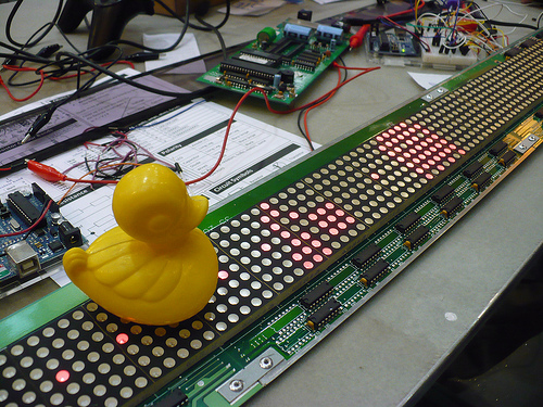 Duck Day 570 (24072010) - Lights alive