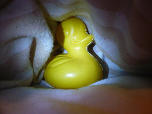 Duck Day 572 (26072010) - Hiding under the bed