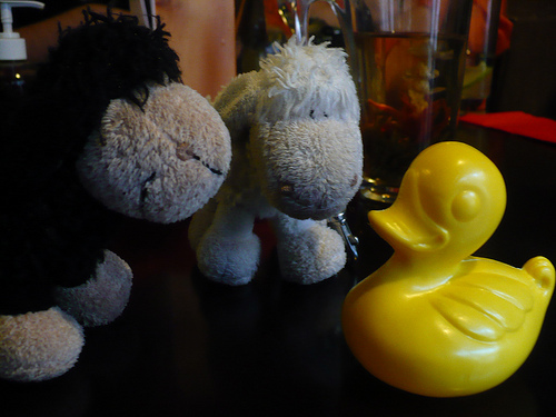 Duck Day 573 (27072010) - Black and White